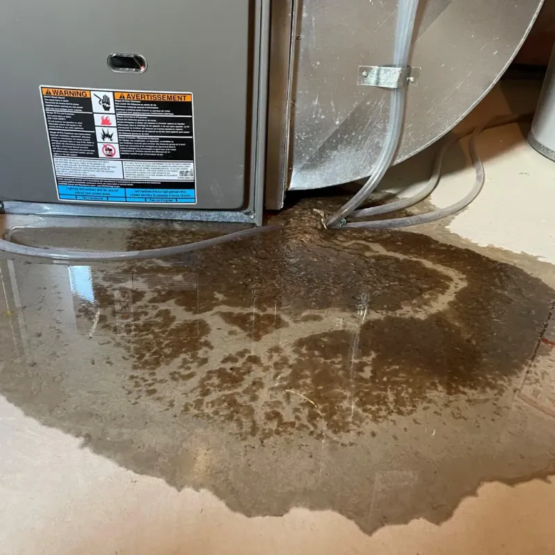 Appliance Leak Cleanup in Waialua, HI