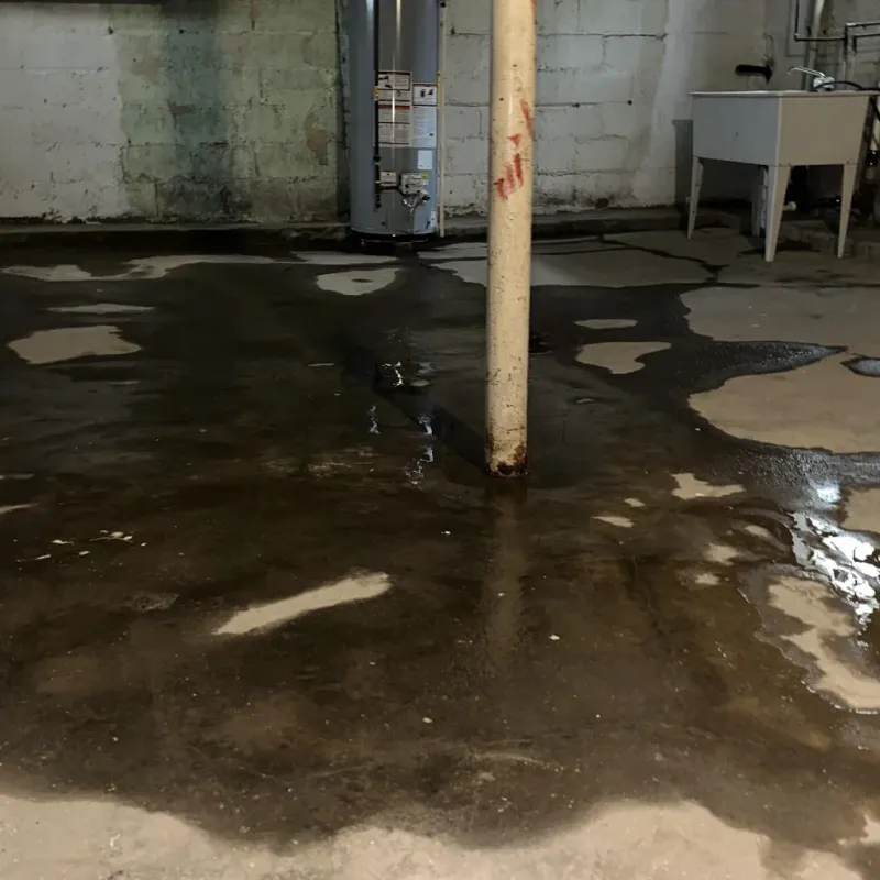 Emergency Water Extraction And Removal in Waialua, HI